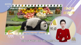 中文字幕av第一页